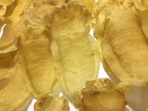 斗门鱼胶回收