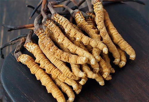 香洲虫草回收价格
