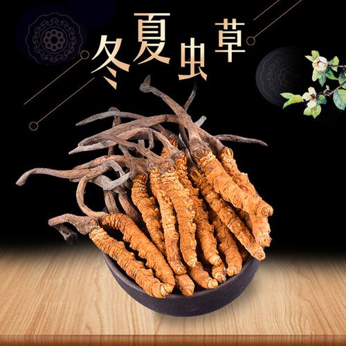 香洲虫草回收